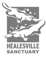 healesville-sanctuary